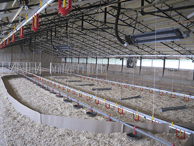 agricultural_tube-brooders.png